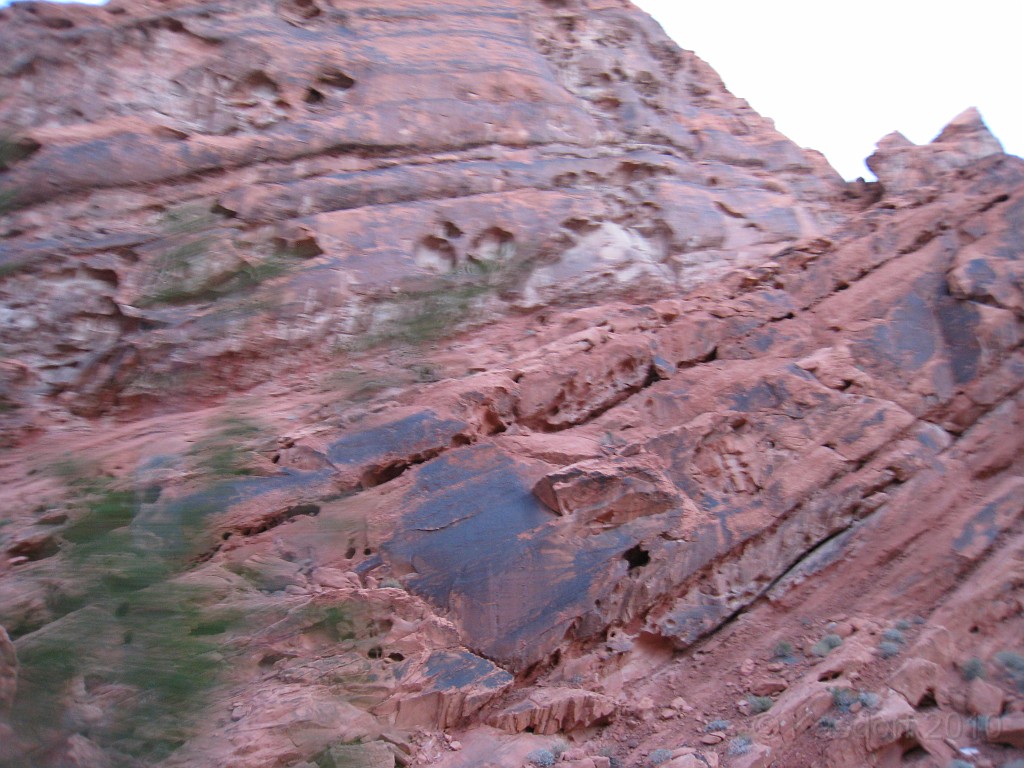 Las Vegas 2010 - Valley of Fire 1391.JPG - The 2010 Las Vegas Fire - Ice and Sweat Tour. Half Marathon, Red Rock Canyon, Mt. Charleston, Casinos, Valley of Fire.... and buffets!